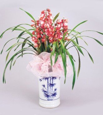 哀思鲜花