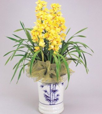 婚庆鲜花