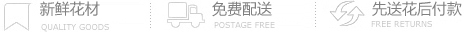 爱情鲜花